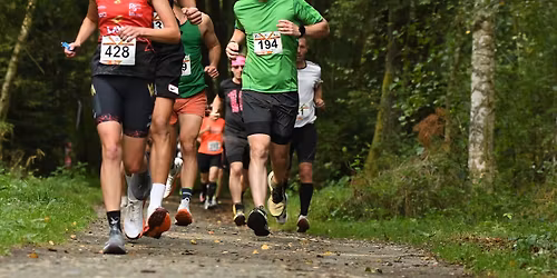 Bezd\u011bzsk\u00fd p\u016flmaraton 2026