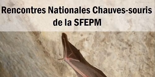 Rencontres Nationales Chauves-souris de la SFEPM - Edition 2026