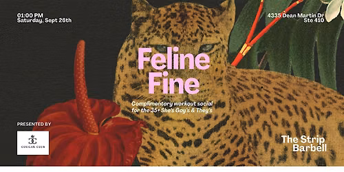 Feline Fine Workout Social for the 35+