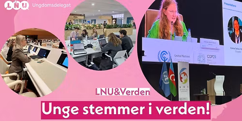 Frokostseminar: Unge stemmer i verden