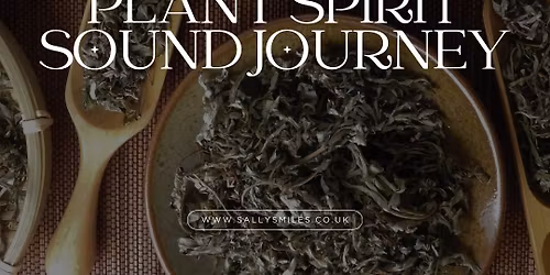 Mugwort Plant Spirit Sound Journey