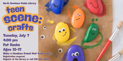 Teen Scene: Crafts - Pet Rocks