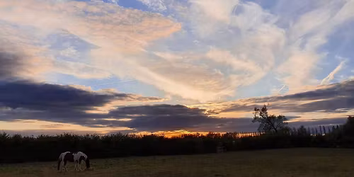 Fun Inhand Only Showing Show 