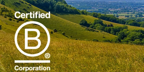 B Corp 101 for Small Businesses: A friendly intro to the new standards