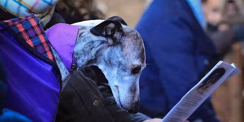 Sighthound Carol Service