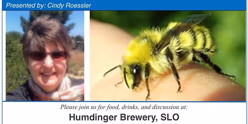CCBS Fall Meeting: Butterflies & Bumblebees!