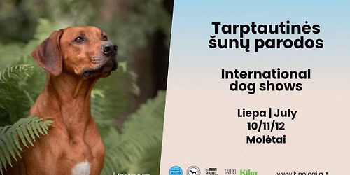 International Dog Shows (CACIB) \/ Tarptautin\u0117s \u0161un\u0173 parodos Mol\u0117tuose