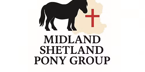Midland Shetland Pony Group Bronze Medal Spring Show
