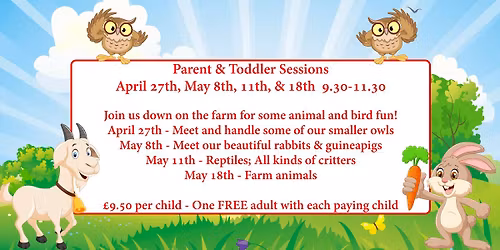 Parent & Toddler Sessions