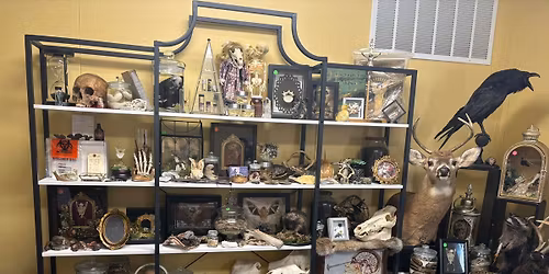 Black Friday Bones, Bats, and Bugs Evening Shopping Event