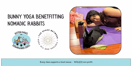 Bunny Yoga Houston
