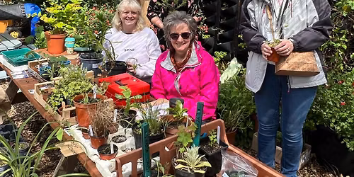 Plant Sale
