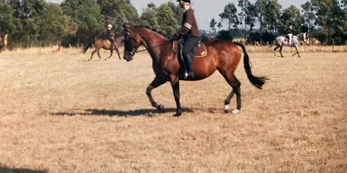 Inglis Pony Club 50 Year Reunion