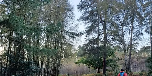 High Lodge 10k Guided Trail Run - December