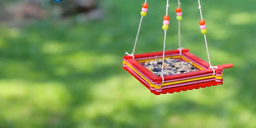 Kids Kraft's: Bird Feeder