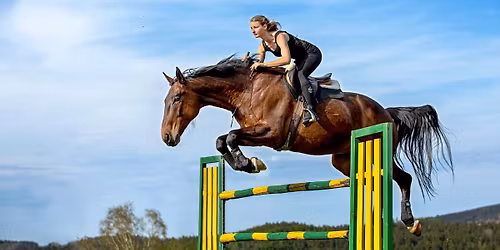 V\u00edkendov\u00e9 soust\u0159ed\u011bn\u00ed pr\u00e1ce ze zem\u011b, ve volnosti I pod sedlem \ud83d\udc34