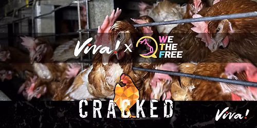Viva! X WTF Collaboration