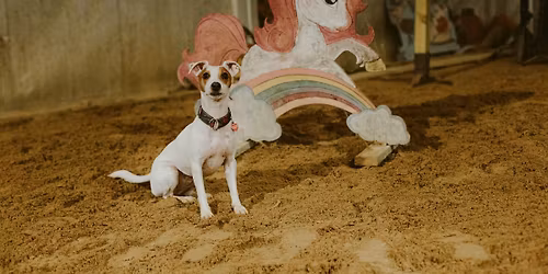 Przebiegi mi\u0119dzy\u015bwi\u0105teczne KO w Hali Radzisz\u00f3w 28.12.2025