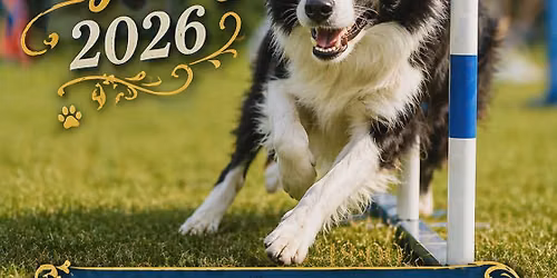 MINI dvojzkou\u0161ky agility 2026