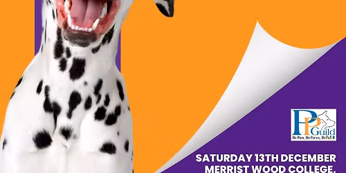 Dog Social Skills Workshop Guildford