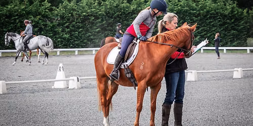 Demo, Dabble & Do-it Dressage - Canterbury