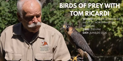 Birds of Prey with Tom Ricardi