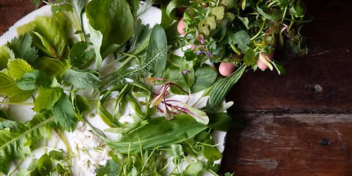 Urban Foraging & Ecology Walk with Edible Alchemy