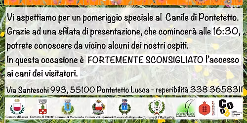Open Day Canile Lucca