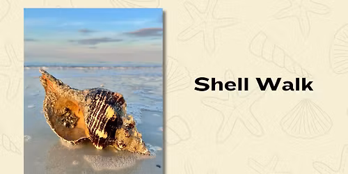 Shell Walk
