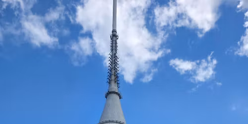 Rhodesky ridgeback dob\u00fdv\u00e1 Je\u0161t\u011bd 10. Ro\u010dn\u00edk 