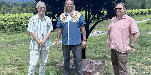 Wavelength trio @ Fallen Tree Vineyard