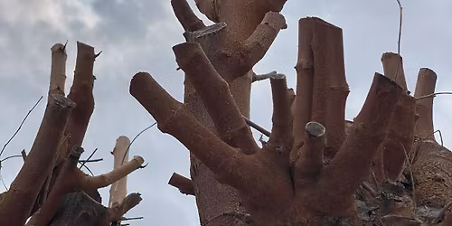 JOHN GABRIEL BORKMAN | Joaquim Horta, no Teatro S\u00e3o Luiz