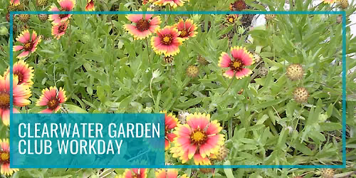 Monthly Clearwater Garden Club Workday