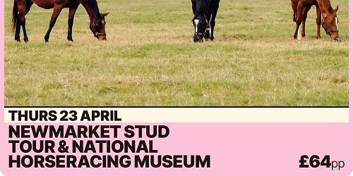  Newmarket Stud Tour and Racing Museum -Thursday 23rd April