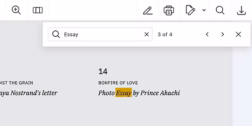 Nostranders at Mercury Lounge - NY