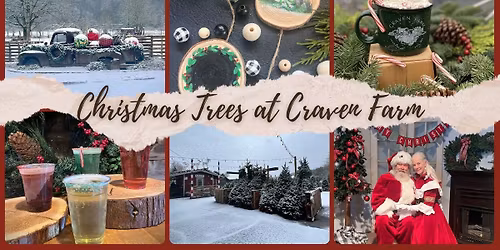 Christmas Trees at Craven Farm