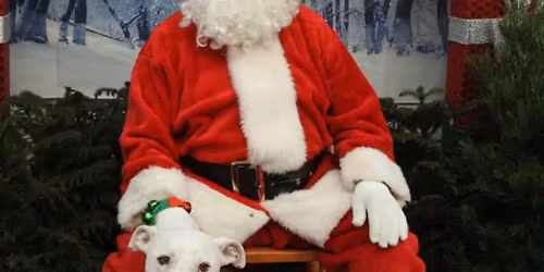 Pet Photos With Santa