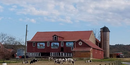 Beef in the She Shed at Gauker Farms