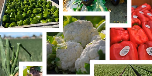 Fields of Fresno Ag Tour - Spice of the Valley