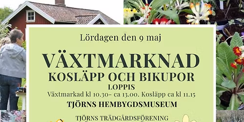 V\u00e4xtmarknad, Kosl\u00e4pp och Bikupor