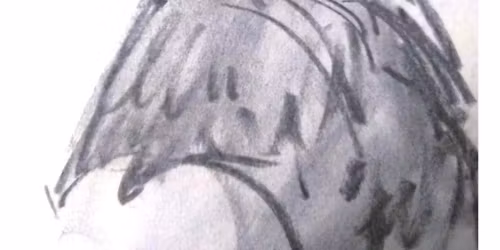 Beginning Sketching Art Class