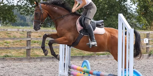 Have confidence jumping workshop with rachel shawyer 4star parelli professional 
