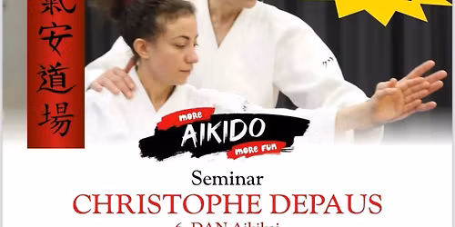 Aikido Seminar Christophe Depaus Graz