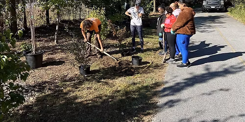 Forest Care Days (10.3.26)