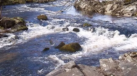 New Year Retreat - Let Justice Flow