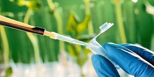 5th International Plant Breeding Congress