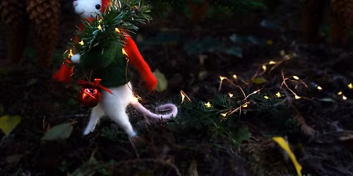 Warsztaty filcowania WROC\u0141AW 21 listopada