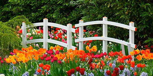 Alice Bourque Martinez