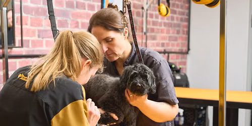 Recruitment Days - Pets Parlour Spa & Grooming