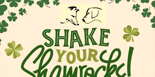 The Bootleggers UK,  Kyah's 30th & St Patricks Day